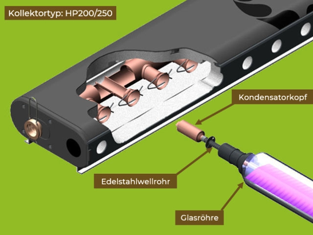 Das Bild zeigt eine technische Illustration des Kollektortyps HP200/250 mit beschrifteten Komponenten. Dargestellt sind der Kondensatorkopf, das Edelstahlwellrohr und die Glashröhre, die zusammen eine effiziente Wärmeübertragung in Solarthermie-Anlagen ermöglichen.