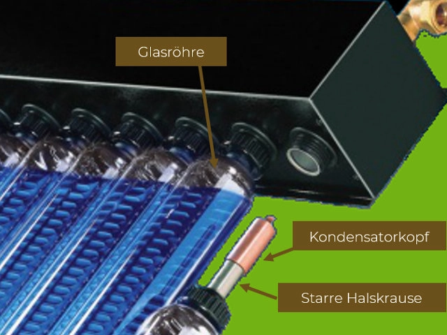 Das Bild zeigt eine technische Nahaufnahme eines Vakuumröhrenkollektors mit beschrifteten Komponenten. Zu sehen sind die Glashröhre, der Kondensatorkopf und die starre Halskrause, die eine effiziente Wärmeübertragung ermöglichen.